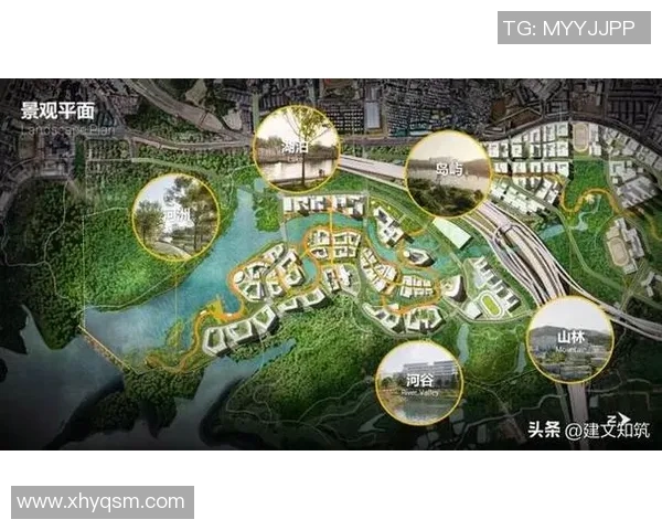 南京排球队的控制革新探索与实践:重塑竞技水平与团队协作的新篇章 南京排球队的控制革新探索与实践:重塑竞技水平与团队协作的新篇章