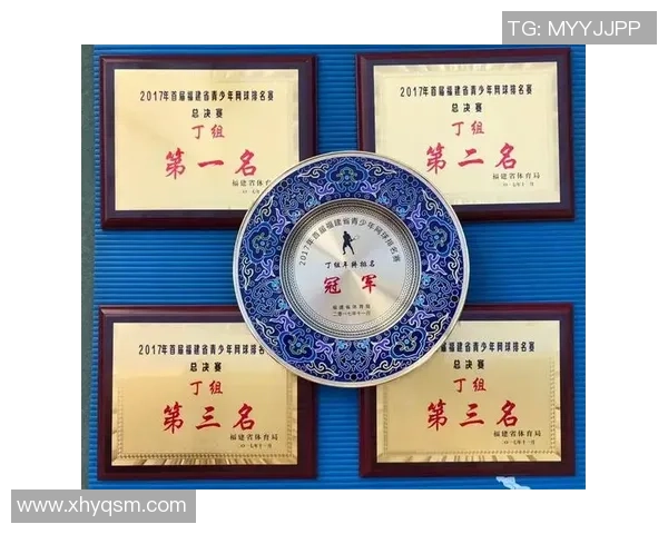 南京网球队与北京网球队个人能力对比分析赛后复盘 南京网球队与北京网球队个人能力对比分析赛后复盘