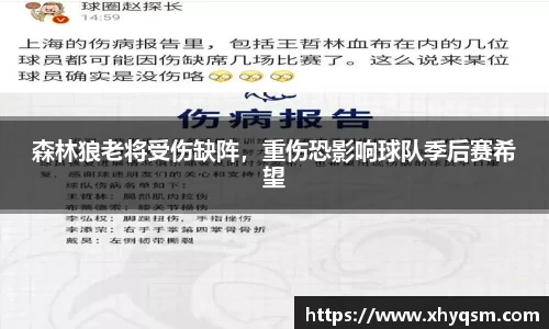 森林狼老将受伤缺阵，重伤恐影响球队季后赛希望