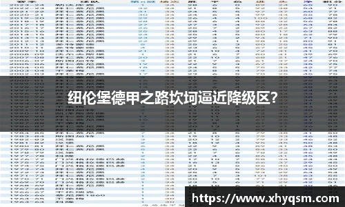 纽伦堡德甲之路坎坷逼近降级区？