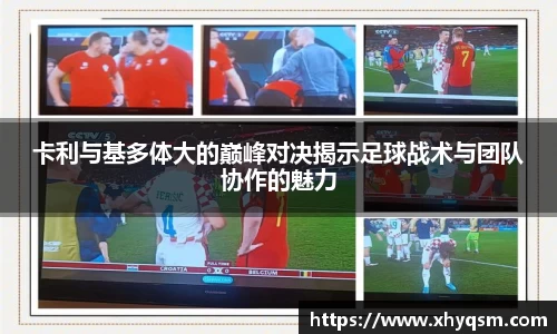mk体育